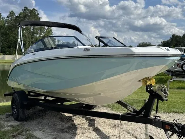 Slide: The Image of Scarab 195 ID 2024 - 3