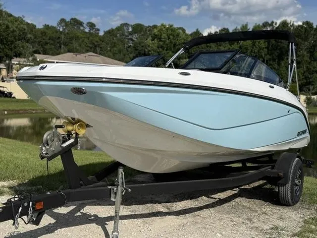 Slide: The Image of Scarab 195 ID 2024 - 5