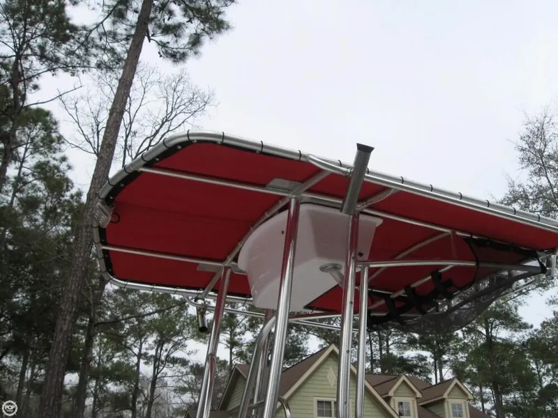 Slide: The Image of Carolina 198 DLV 2010 - 9
