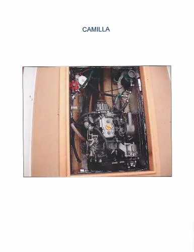 Slide: The Image of Marshall Marshall Cat 1986 - 10