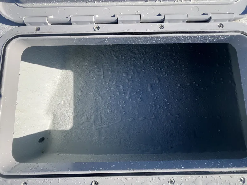 Slide: The Image of Shoalwater 19 Cat 2026 - 15