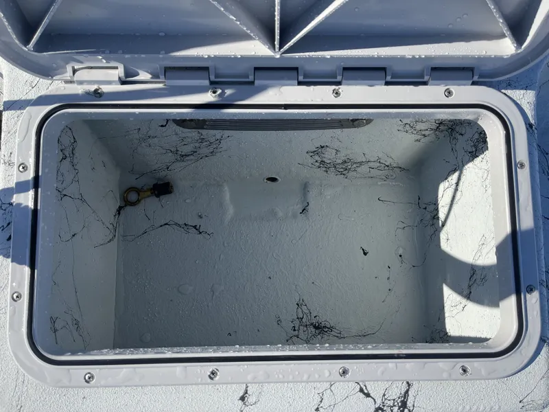 Slide: The Image of Shoalwater 19 Cat 2026 - 22