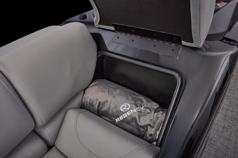 Slide: The Image of Regency 250 DL RF 2026 - 35