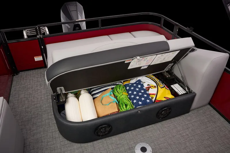 Slide: The Image of Regency 250 DL RF 2026 - 63