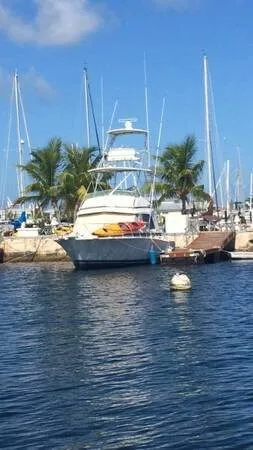 Slide: The Image of Bertram 33 Flybridge Cruiser 1990 - 2