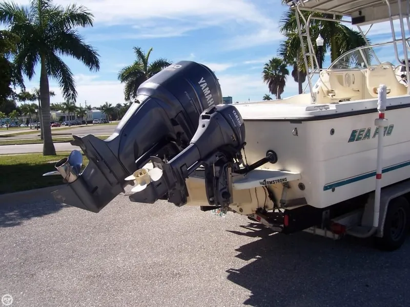 Slide: The Image of Sea Pro 235 WA 2001 - 1