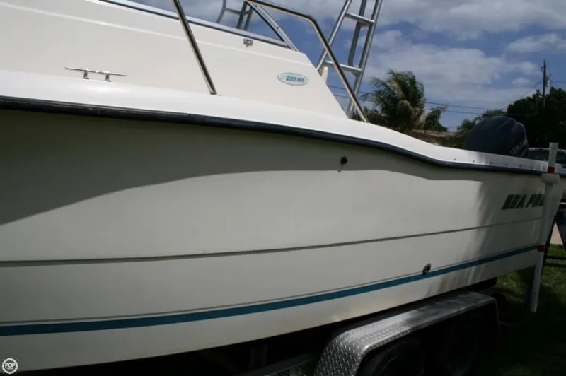 Slide: The Image of Sea Pro 235 WA 2001 - 8