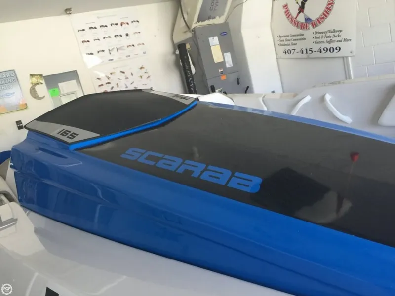 Slide: The Image of Scarab 165 2015 - 9