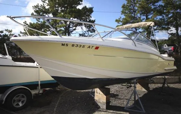 Slide: The Image of Scout 222 dorado 2008 - 0