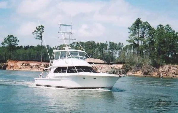 Slide: The Image of Bertram Convertible 1978 - 1