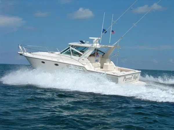Slide: The Image of Tiara 37 Open 1997 - 0