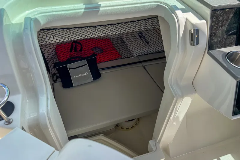 Slide: The Image of Sea Ray 250 SDX OUTBOARD 2021 - 21