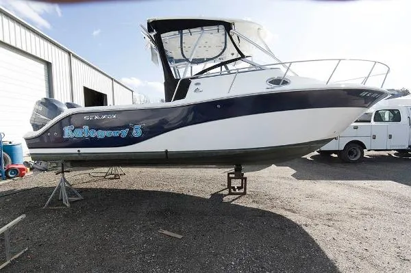Slide: The Image of Sea Fox 256 WALK AROUND 2012 - 0