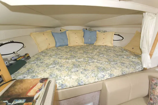 Slide: The Image of Larson 290 CABRIO 2000 - 4