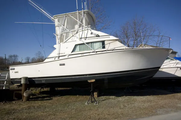 Slide: The Image of Bertram 33 Sport Fisherman 1984 - 0