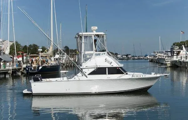 Slide: The Image of Bertram 28 Flybridge 1978 - 0