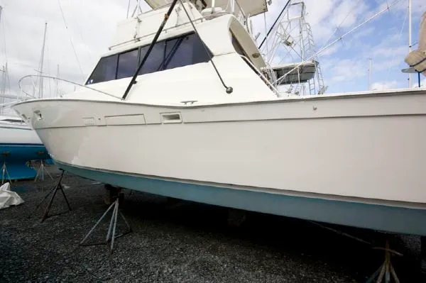 Slide: The Image of Viking 40 Convertible (MD) 1974 - 2