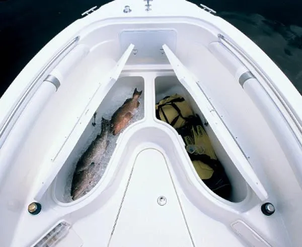 Slide: The Image of Wellcraft 252 Fisherman (75 hrs.) (VA) 2007 - 1