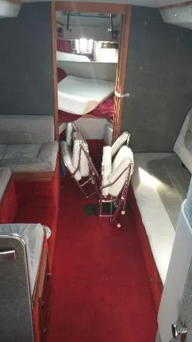 Slide: The Image of Wellcraft express 31ft. 1984 - 6