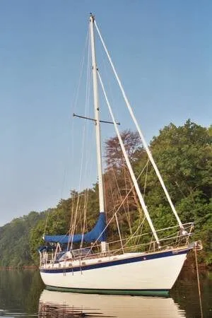 Slide: The Image of Liberty 38 1985 - 1