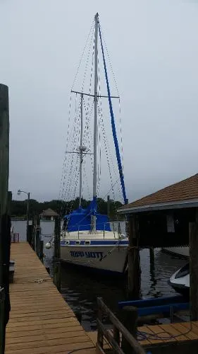 Slide: The Image of Morgan Out Island 41 1979 - 4