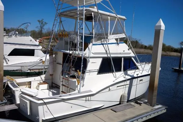 Slide: The Image of Hatteras 37 Convertible Sport Fish 1977 - 6
