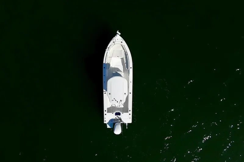 Slide: The Image of 2020 Everglades 243 CC - Profile - 59