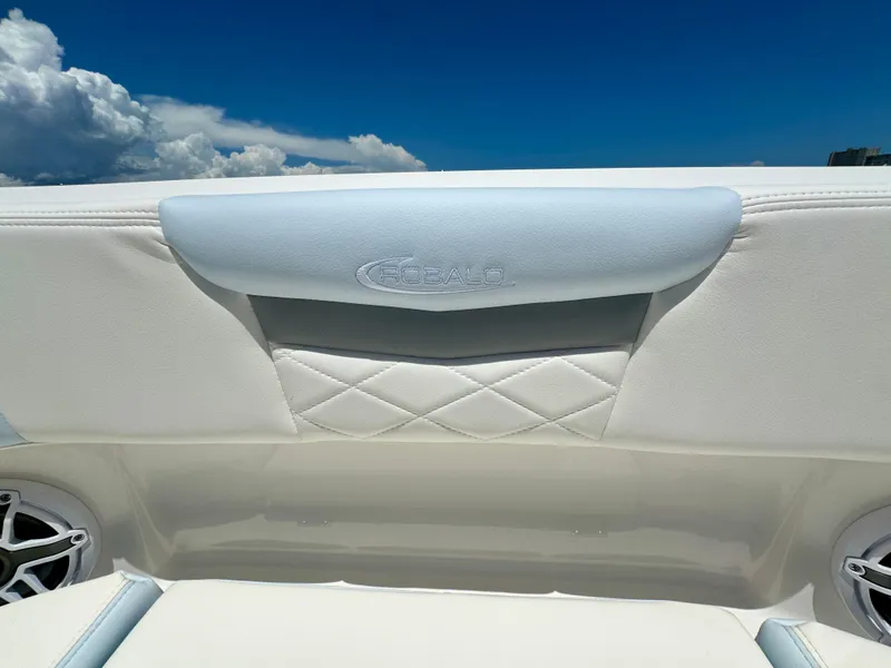 Slide: The Image of Robalo R257 Dual Console 2025 - 57