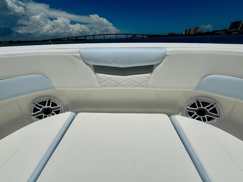 Slide: The Image of Robalo R257 Dual Console 2025 - 60