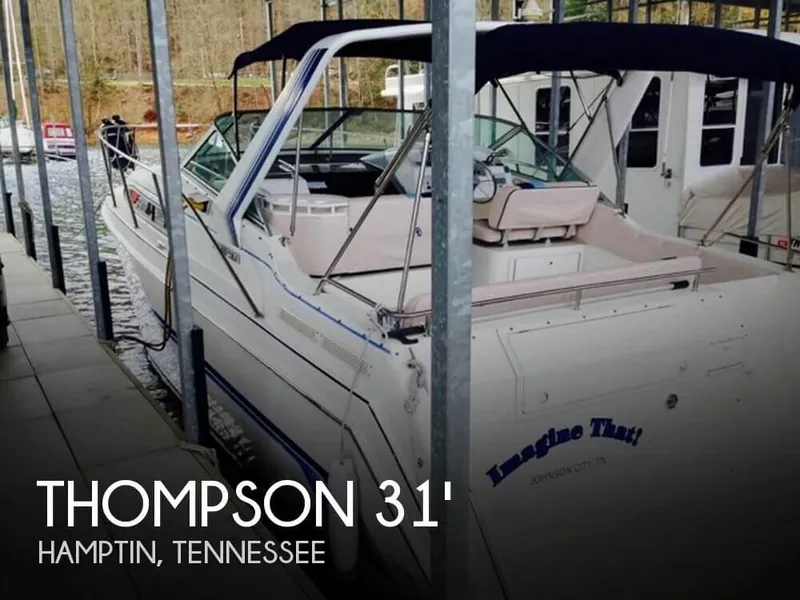 Slide: The Image of Thompson Santa Cruz 3100 1994 - 0