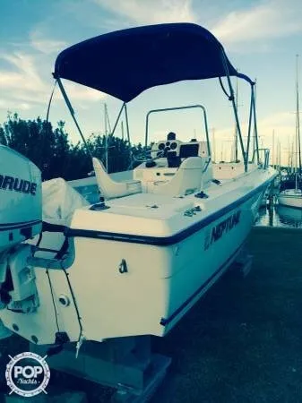 Slide: The Image of Sunbird Neptune 200 1994 - 5