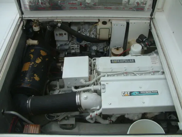 Slide: The Image of Stamas Sport Fish 2001 - 7
