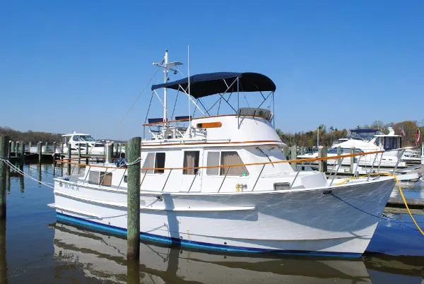 Slide: The Image of Monk Trawler 2001 - 3