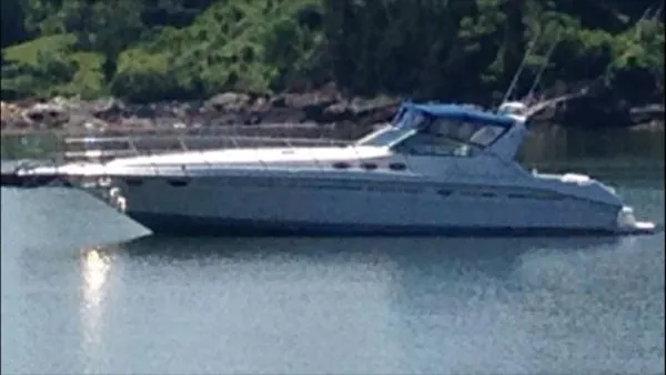Slide: The Image of Sea Ray Express Cruiser 1995 - 1