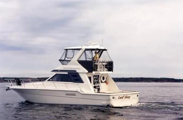 Slide: The Image of Sea Ray Convertible Flybridge 1991 - 0