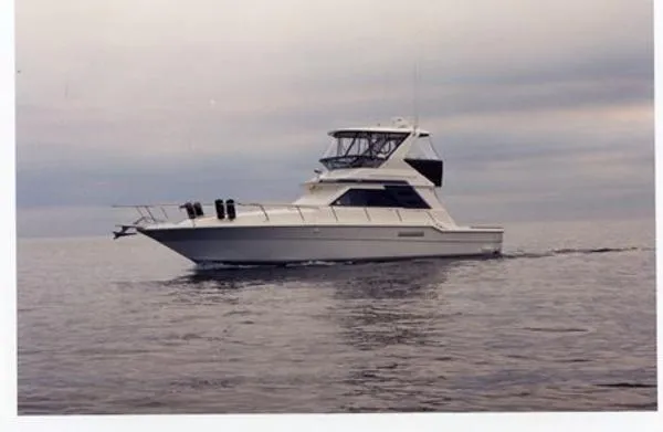 Slide: The Image of Sea Ray Convertible Flybridge 1991 - 1