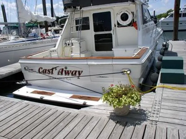 Slide: The Image of Sea Ray Convertible Flybridge 1991 - 4
