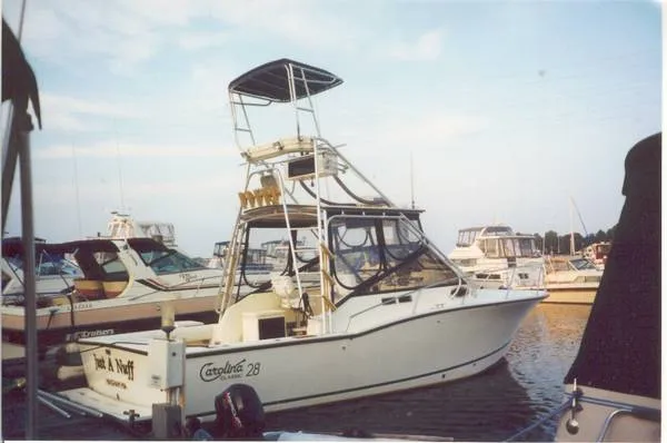 Slide: The Image of Carolina 1995 - 0