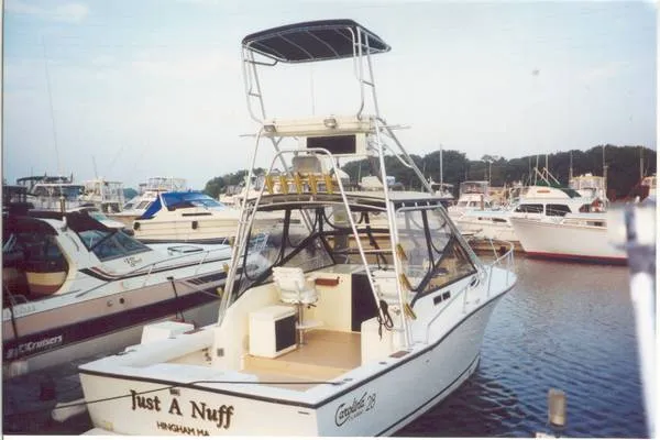 Slide: The Image of Carolina 1995 - 1