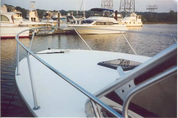 Slide: The Image of Carolina 1995 - 2
