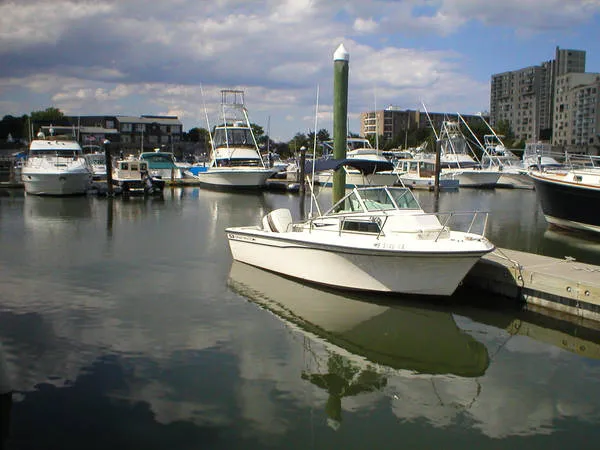 Slide: The Image of Grady-White 204 C Overnighter 1988 - 0