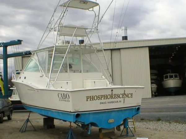 Slide: The Image of Cabo Express 2001 - 7
