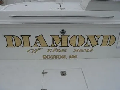 Slide: The Image of Boston Whaler 340 Defiance 2000 - 6