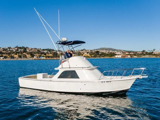 The Image of 1978 Bertram 31 Flybridge - Image 1 - 1