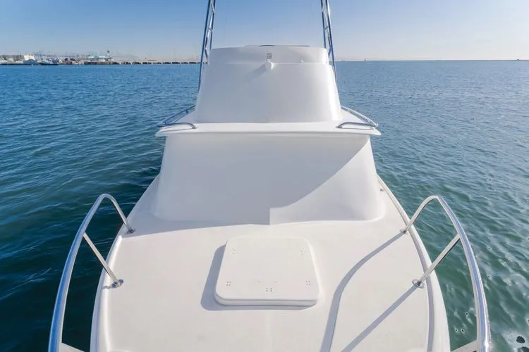 Slide: The Image of 1978 Bertram 31 Flybridge - Image 16 - 16