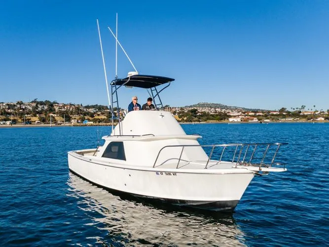 Slide: The Image of 1978 Bertram 31 Flybridge - Image 22 - 22