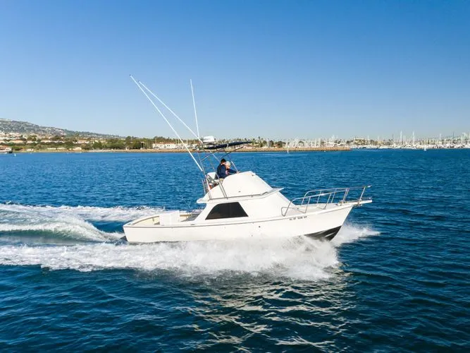 Slide: The Image of 1978 Bertram 31 Flybridge - Image 24 - 24