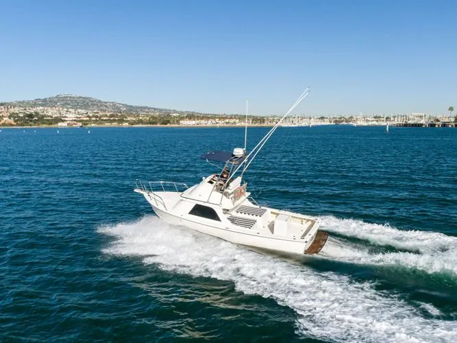 Slide: The Image of 1978 Bertram 31 Flybridge - Image 28 - 28