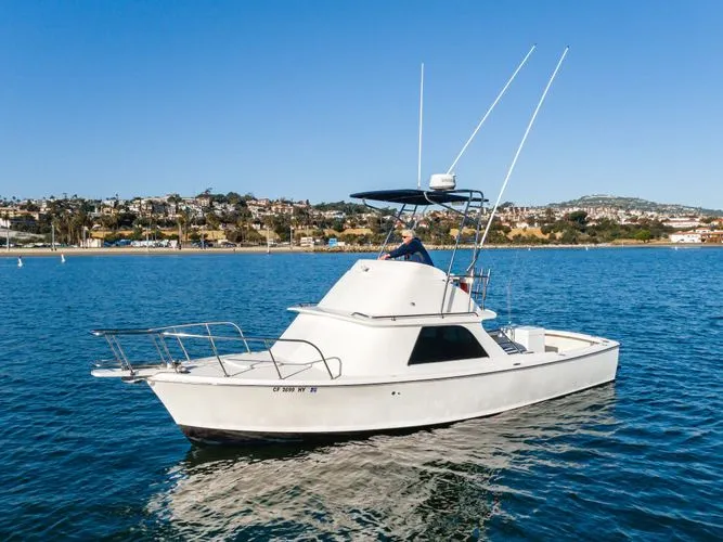 Slide: The Image of 1978 Bertram 31 Flybridge - Image 3 - 3