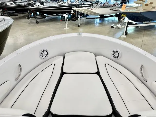 Slide: The Image of Stingray 172 DC 2026 - 8